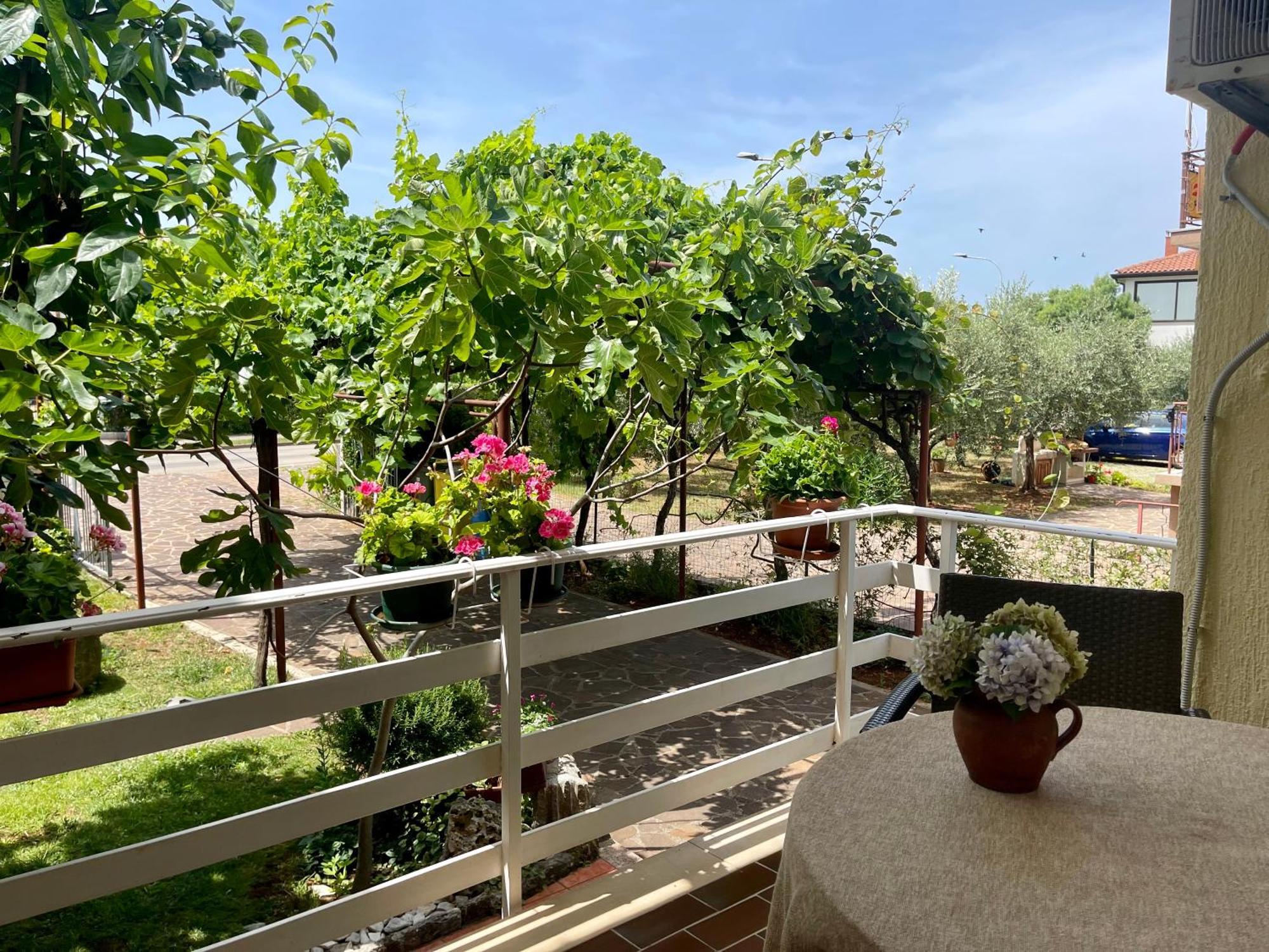 אומאג Apartments Maria מראה חיצוני תמונה